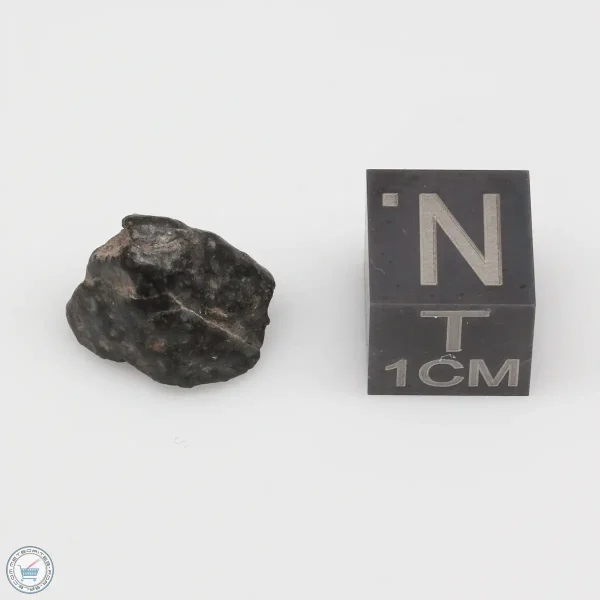 NWA 4502 Meteorite 1.4g