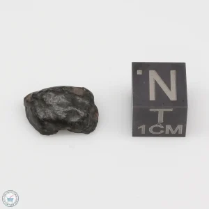 NWA 4502 Meteorite 1.3g