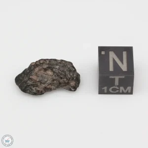 NWA 4502 Meteorite 1.5g