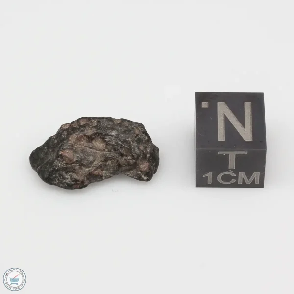 NWA 4502 Meteorite 1.5g