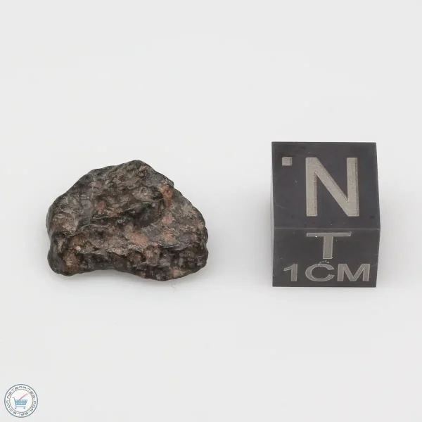 NWA 4502 Meteorite 1.5g