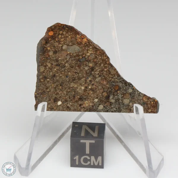 NWA 7676 Meteorite 3.6g