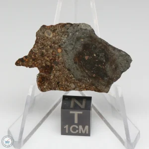 NWA 7676 Meteorite 4.0g