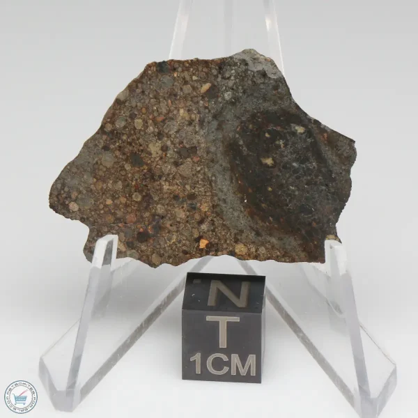 NWA 7676 Meteorite 4.8g