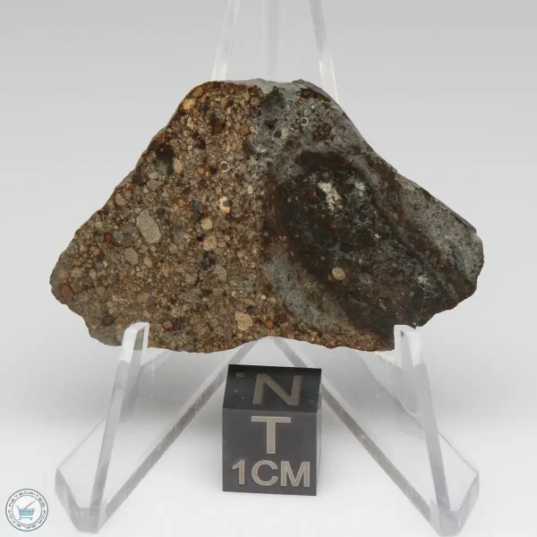 NWA 7676 Meteorite 5.1g