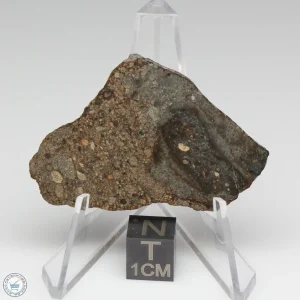NWA 7676 Meteorite 7.6g