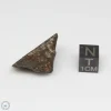 NWA 7676 Meteorite 10.0g End Cut