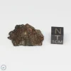 NWA 7676 Meteorite 10.0g End Cut
