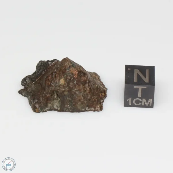NWA 7676 Meteorite 10.0g End Cut