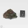 NWA 7676 Meteorite 10.0g End Cut