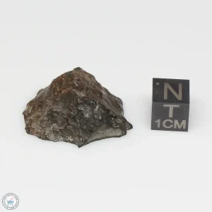 NWA 7676 Meteorite 10.0g End Cut