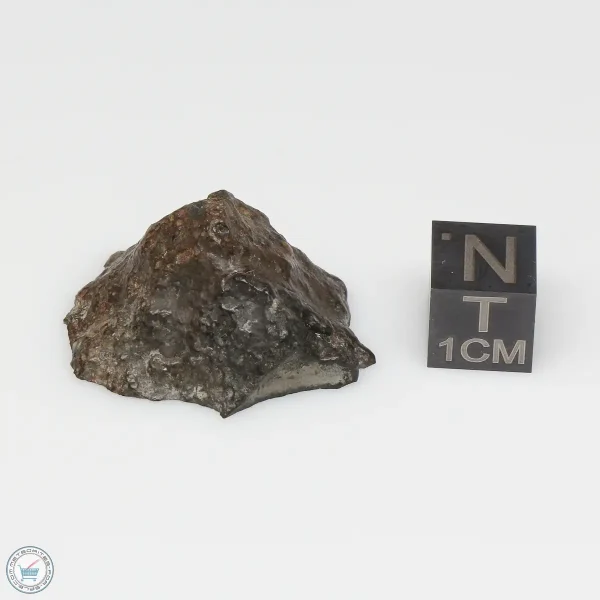 NWA 7676 Meteorite 10.0g End Cut