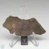 Al Haggounia 001 Meteorite 13.4g