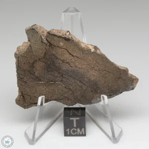Al Haggounia 001 Meteorite 14.3g