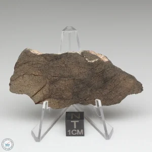 Al Haggounia 001 Meteorite 17.5g
