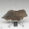 Al Haggounia 001 Meteorite 17.3g