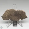 Al Haggounia 001 Meteorite 14.7g