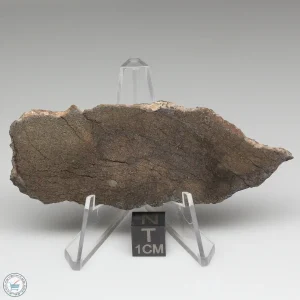 Al Haggounia 001 Meteorite 15.8g