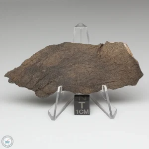 Al Haggounia 001 Meteorite 23.3g