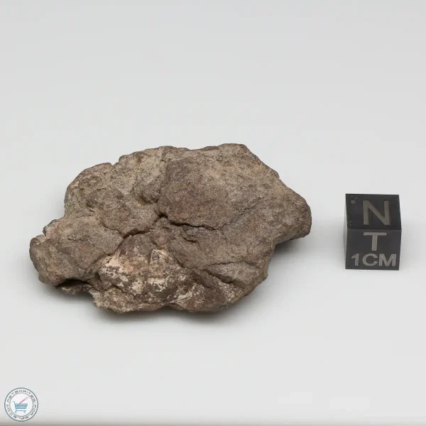 Al Haggounia 001 Meteorite 43.0g