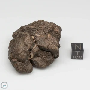 Al Haggounia 001 Meteorite 89.7g