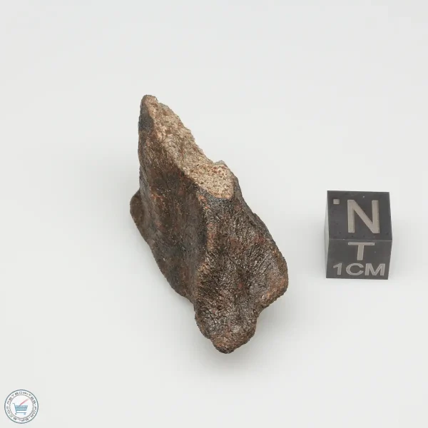 Camel Donga Meteorite 14.9g