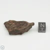 Camel Donga Meteorite 14.9g