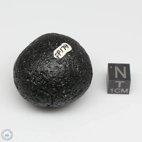 Philippinite Tektite 44.3g