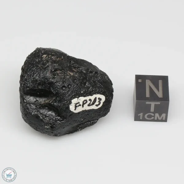 Philippinite Tektite 15.2g