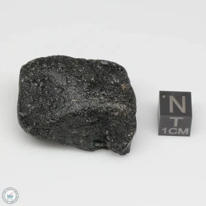 Philippinite Tektite 28.8g