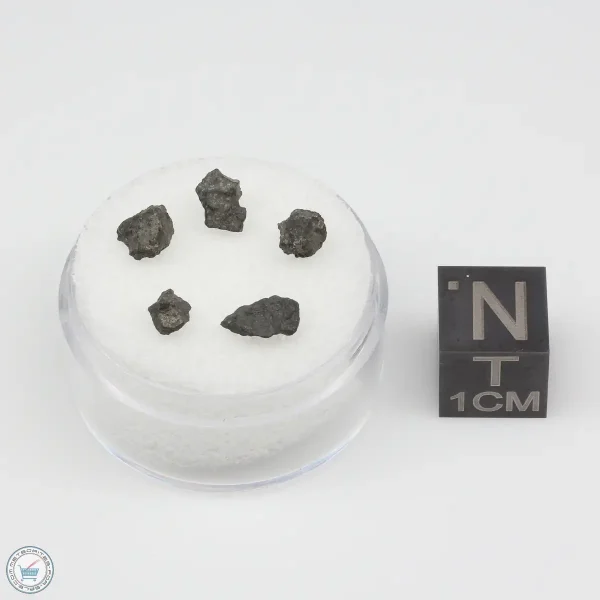 Jbilet Winselwan CM2 Meteorite 0.38g