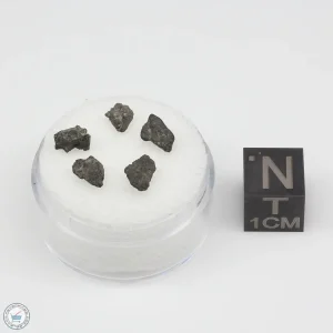 Jbilet Winselwan CM2 Meteorite 0.37g