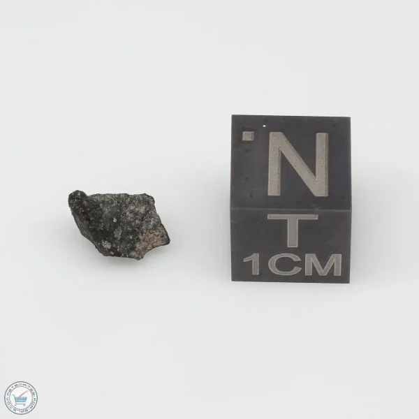 Jbilet Winselwan CM2 Meteorite 0.24g