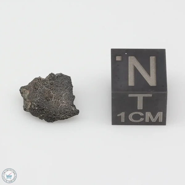 Jbilet Winselwan CM2 Meteorite 0.53g