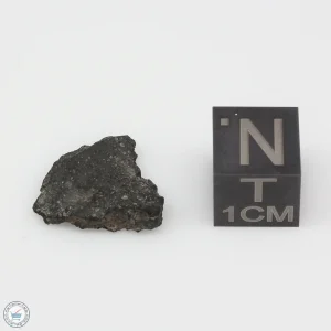 Jbilet Winselwan CM2 Meteorite 0.66g