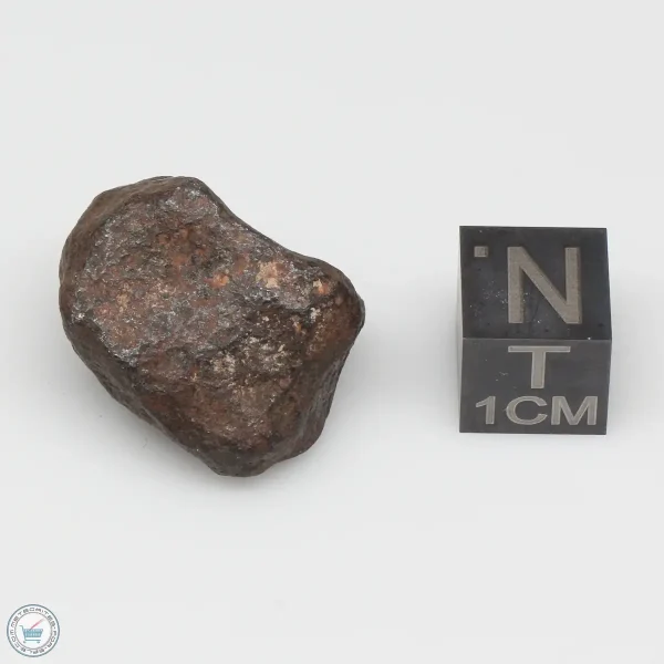 Mundrabilla Meteorite 22.0g