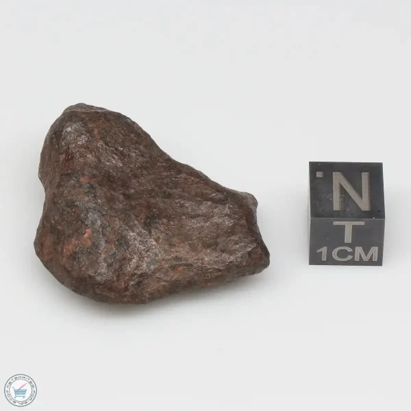 Mundrabilla Meteorite 38.2g