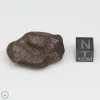 Mundrabilla Meteorite 39.2g