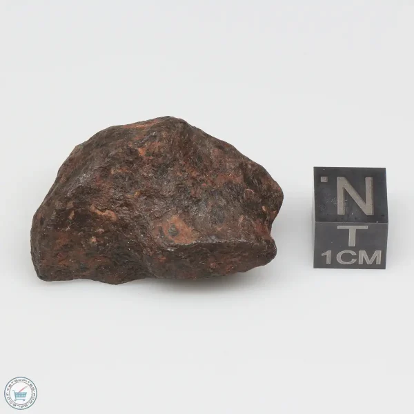 Mundrabilla Meteorite 46.8g