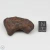 Mundrabilla Meteorite 50.7g