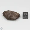 Mundrabilla Meteorite 40.3g