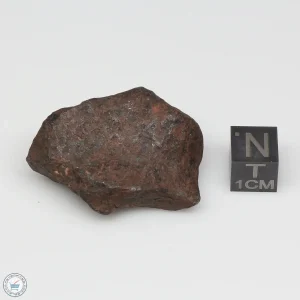 Mundrabilla Meteorite 48.8g