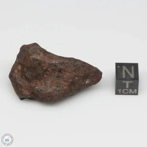 Mundrabilla Meteorite 55.0g