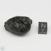 Vietnam Tektite 16.8g