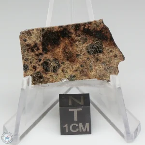 Taoudenni Meteorite 4.1g