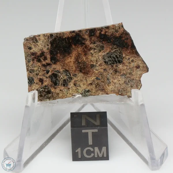 Taoudenni Meteorite 4.1g