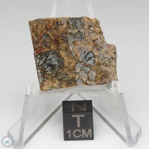 Taoudenni Meteorite 4.2g