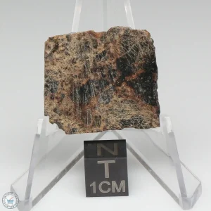 Taoudenni Meteorite 4.3g