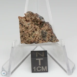 Taoudenni Meteorite 3.1g