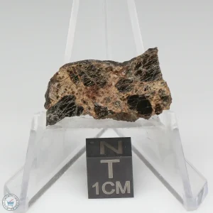 Taoudenni Meteorite 3.8g